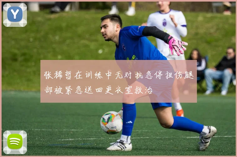 张稀哲在训练中无对抗急停扭伤腿部被紧急送回更衣室救治