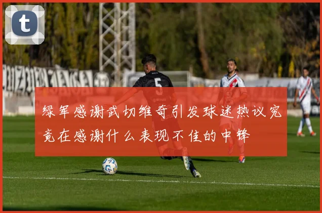 绿军感谢武切维奇引发球迷热议究竟在感谢什么表现不佳的中锋