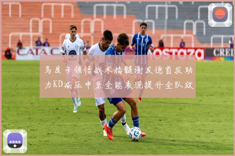 乌度卡领悟战术精髓谢泼德首发助力KD减压申京全能表现提升全队效率