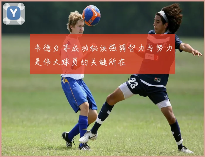 韦德分享成功秘诀强调智力与努力是伟大球员的关键所在