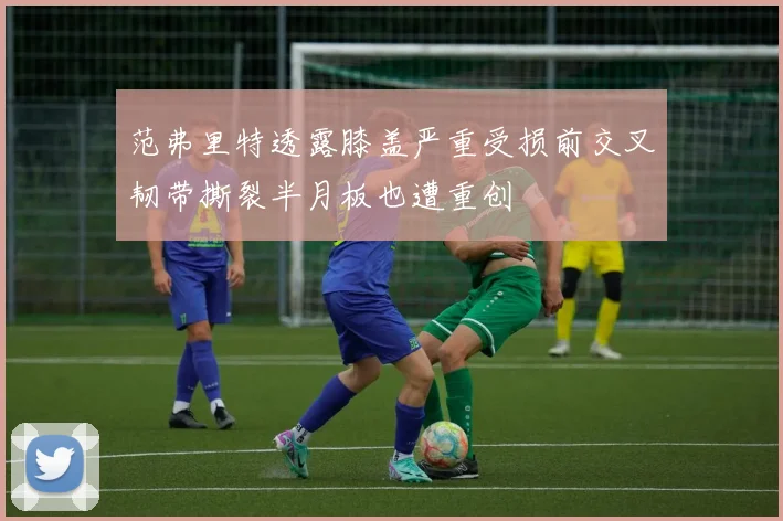范弗里特透露膝盖严重受损前交叉韧带撕裂半月板也遭重创