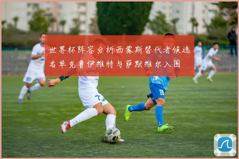 世界杯阵容分析西蒙斯替代者候选名单克鲁伊维特与萨默维尔入围